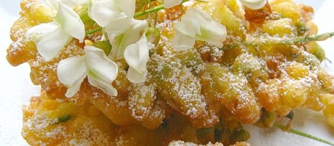 https://saperlipopote.ch/wp-content/uploads/2012/06/beignets-acacias-480x210.jpg