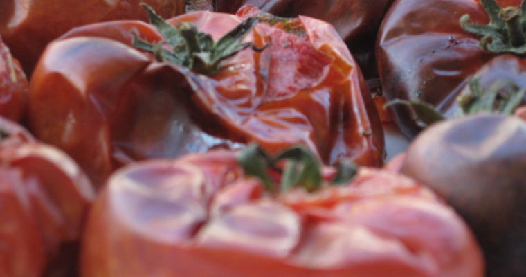 Tomates Tapées!