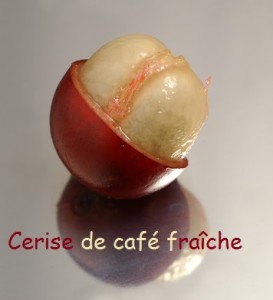 CeriseCafeCoupe
