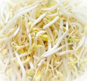 soja