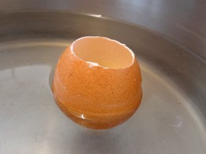 DSC00179
