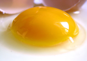 OeufCru