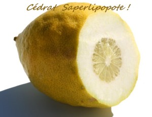6EspadonCedrat2022