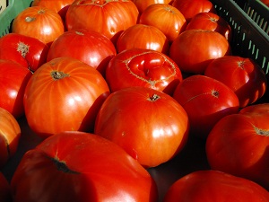 tomate Steak